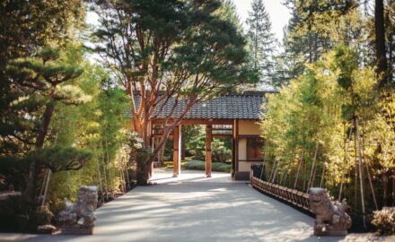 Summerguide2019 japanesegardens samgehrke