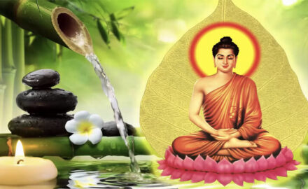 Tong hop nhung bai nhac thien tinh giup ban thu gian dau oc giam cang thang 202202150950137346
