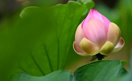Hieu dung ve sinh nghiep tri nghiep chuong nghiep doan nghiep